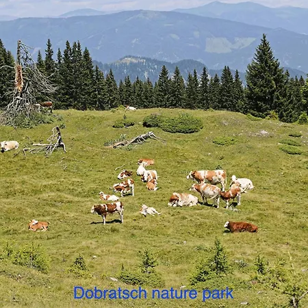 Oachkatzlschwoaf