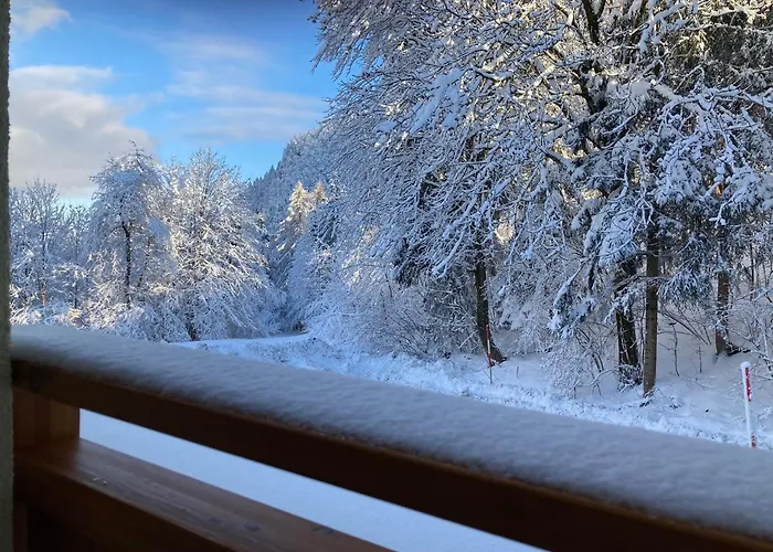 Willa Oachkatzlschwoaf *